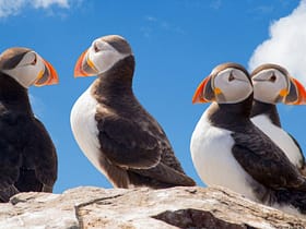 iceland guide tours 18 Iceland Guide Tours